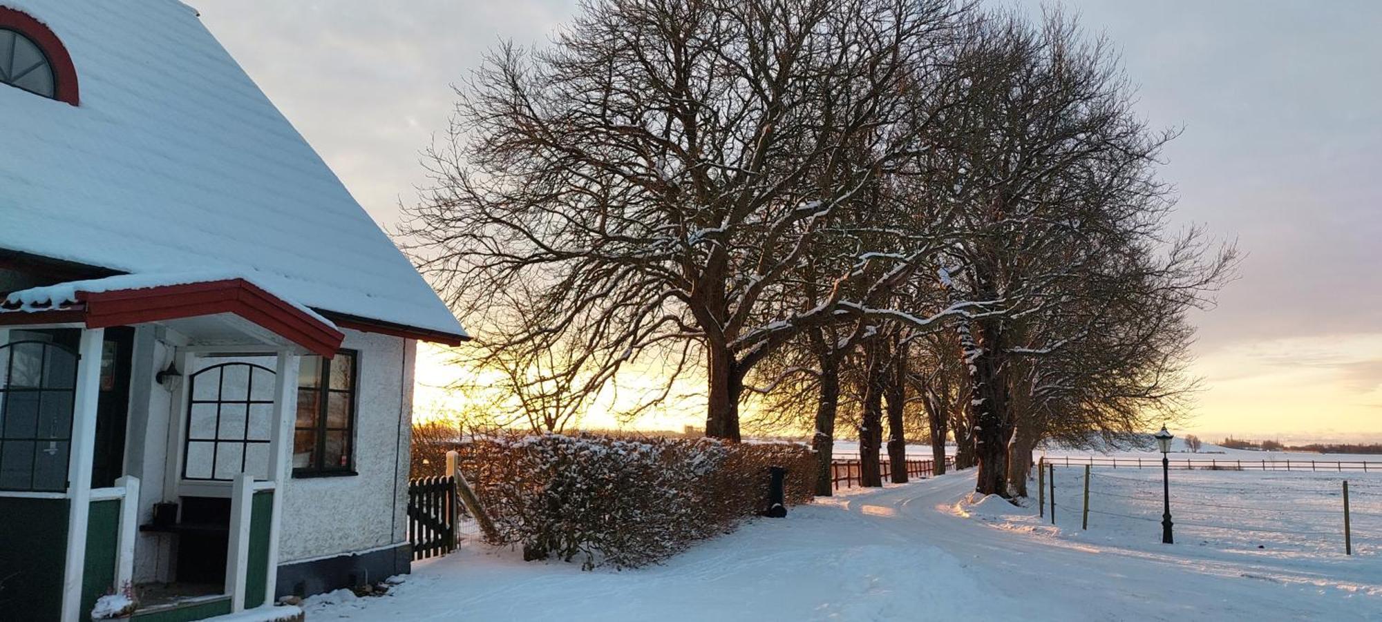Lantligt Och Lugnt Boende Naera Natur Och Stad Svedala Zewnętrze zdjęcie