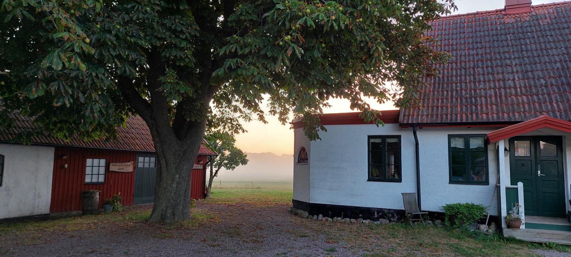 Lantligt Och Lugnt Boende Naera Natur Och Stad Svedala Zewnętrze zdjęcie