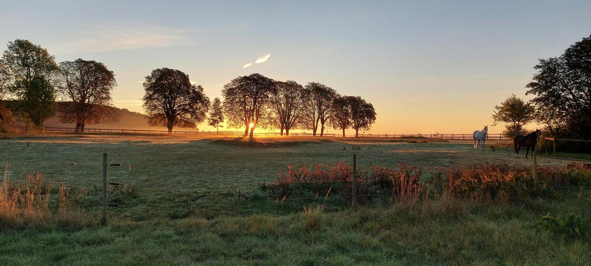 Lantligt Och Lugnt Boende Naera Natur Och Stad Svedala Zewnętrze zdjęcie