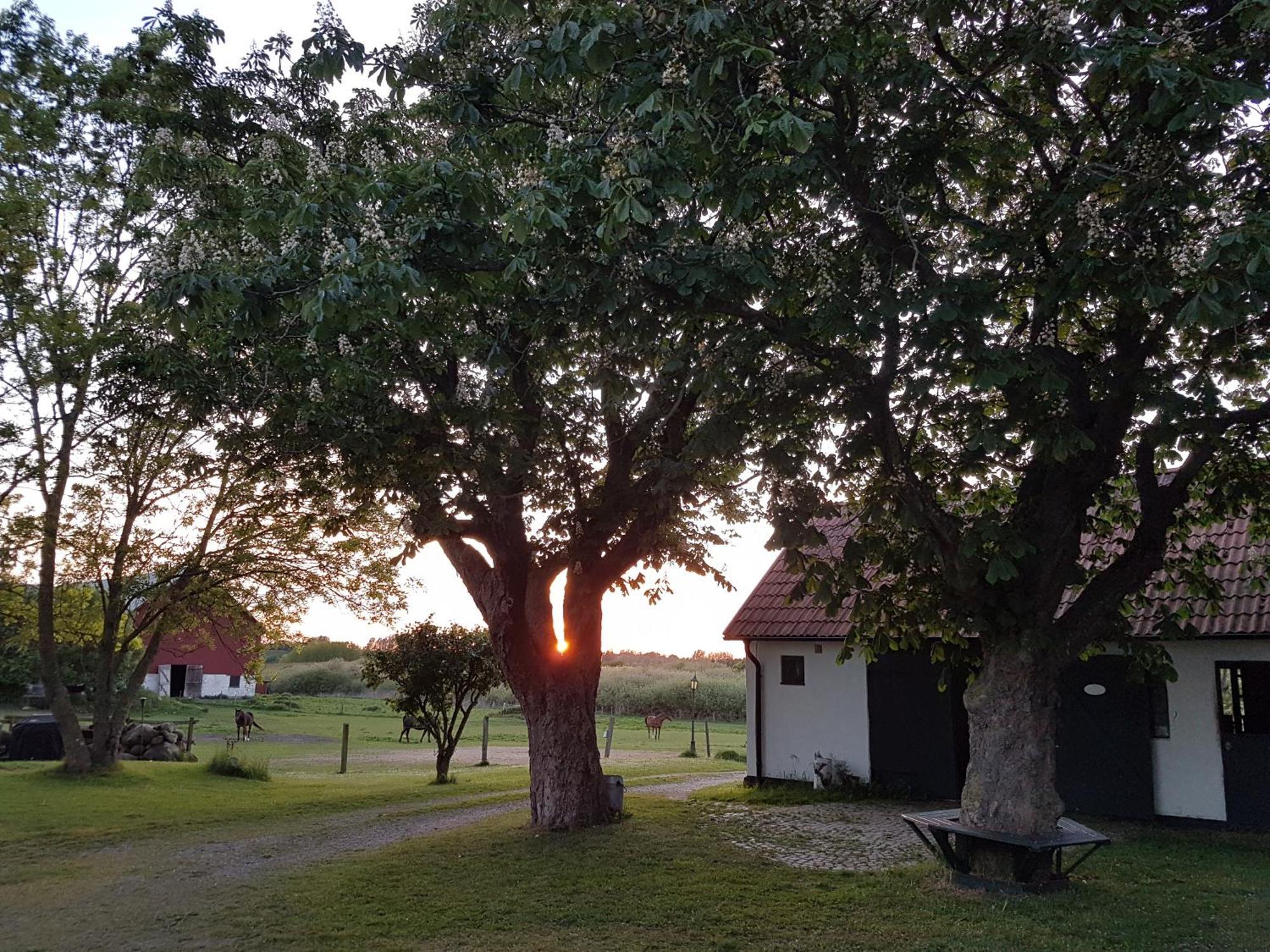 Lantligt Och Lugnt Boende Naera Natur Och Stad Svedala Zewnętrze zdjęcie