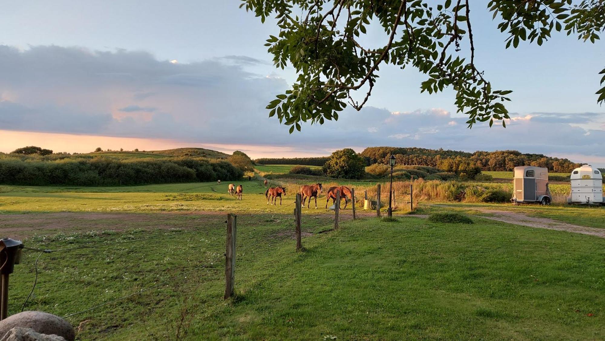 Lantligt Och Lugnt Boende Naera Natur Och Stad Svedala Zewnętrze zdjęcie